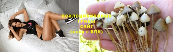 каннабис Абинск
