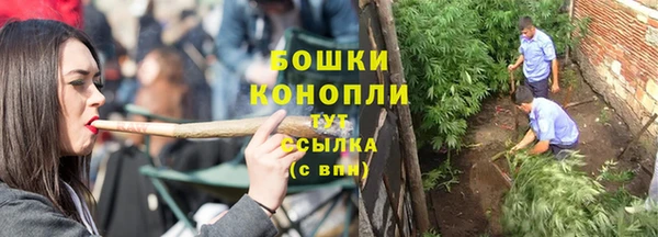 ECSTASY Абаза